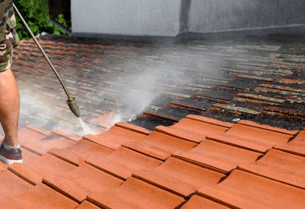 Best Deck Pressure Washing  in Window Rock, AZ