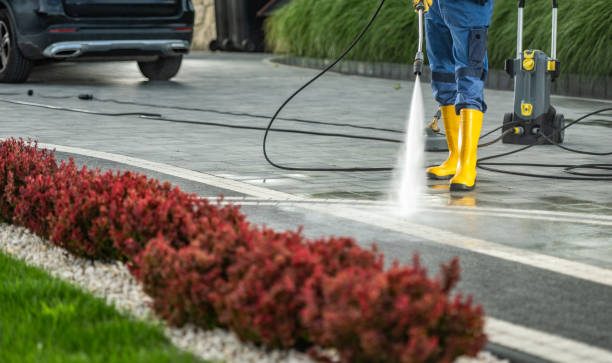 Best Commercial Building Pressure Washing  in Window Rock, AZ