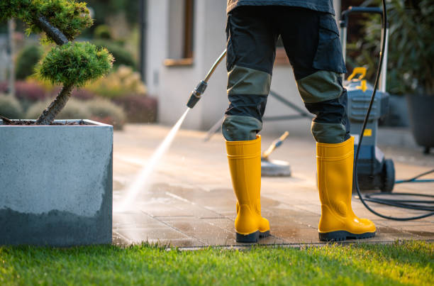 Best Pressure Washing Near Me  in Window Rock, AZ